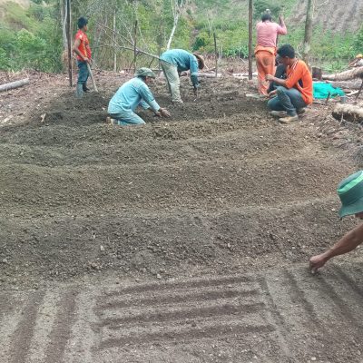 Preparación de Terreno