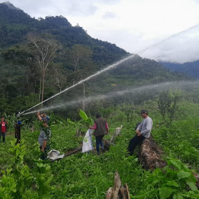 Riego y abonamiento.