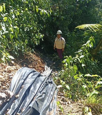 Imagen de WhatsApp 2024-06-23 a las 11.05.07_79e25948